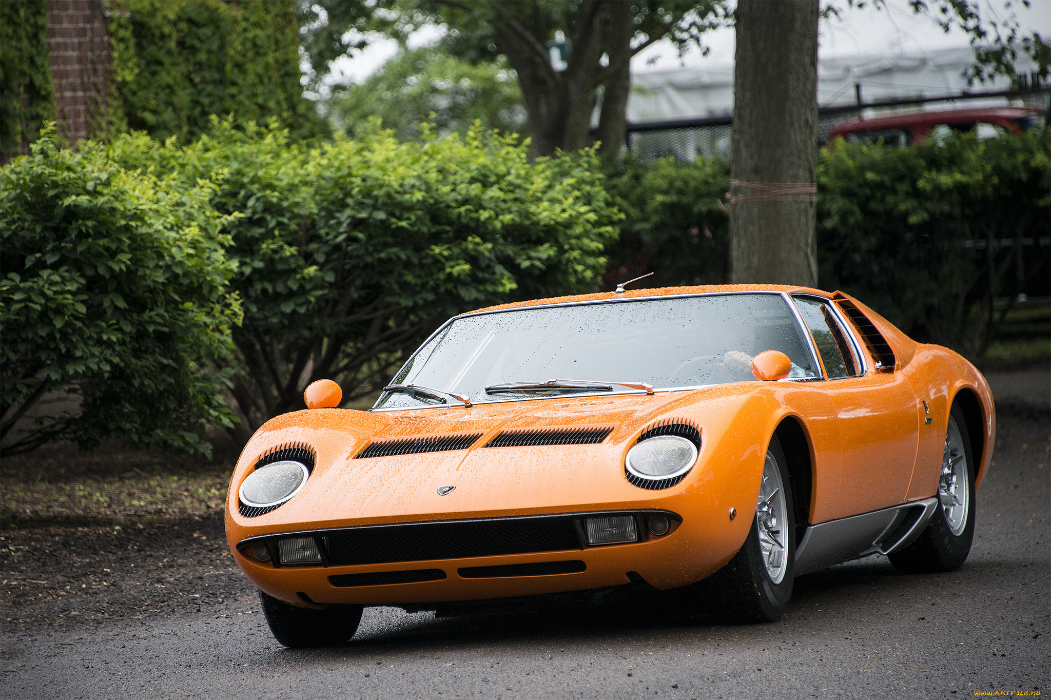 lamborghini miura s coupe,  1970 , , lamborghini, , , 